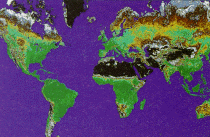 Global summation of vegetation greenness index