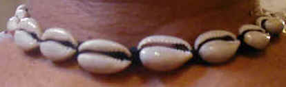 Cowrie Shell Choker#2